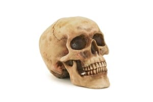 Ways to Decorate Your Home or Office for Halloween with Skulls